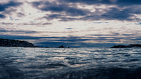 Summer Solitude